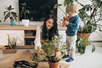 Master Plant Parenthood: Easy Indoor Plants for Your Home