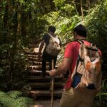Eco-Tourism Adventures: Exploring Nature Responsibly