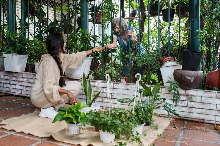 Urban Gardening: Bringing Greenery to Your Living Space