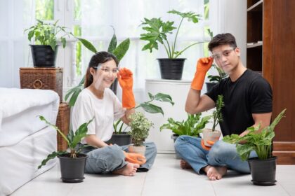 Indoor Gardening: Bringing the Outdoors In