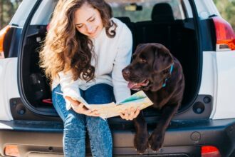 Top Tips for Traveling with Pets